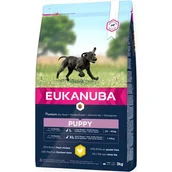 Sucha karma dla psów - Eukanuba Growing Puppy Large Breed Chicken 3 kg - miniaturka - grafika 1