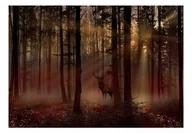 Fototapety - Fototapeta - Mistyczny las - pierwszy wariant (rozmiar 100x70) - miniaturka - grafika 1