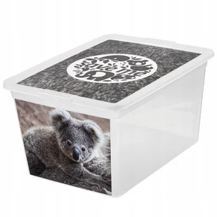 Pojemnik do przechowywania X Box Deco koala 15 l BRANQ - Pojemniki kuchenne - miniaturka - grafika 1