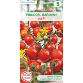 Nasiona i cebule - Pomidor karłowy Irga F1 nasiona warzyw W.Legutko - miniaturka - grafika 1