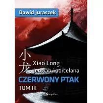 Jedwab i porcelana Tom 3 Czerwony ptak - Dawid Juraszek - Fantasy - miniaturka - grafika 1