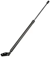 Sprężyny gazowe - Kilen Lesjöfors 8137210 wiosna gazowa - miniaturka - grafika 1