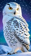 Zabawki kreatywne - Diamentowa mozaika - Sowa śnieżna - miniaturka - grafika 1