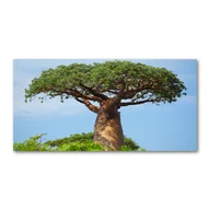 Obrazy i zdjęcia na płótnie - Foto obraz zdjęcie szkło hartowane Baobab - miniaturka - grafika 1