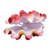 Dekoracje do akwarium - Penn Plax Małż olbrzymi - miniaturka - grafika 1