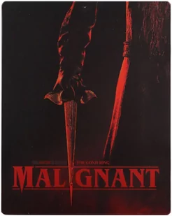 Wcielenie - Horrory Blu-Ray - miniaturka - grafika 1