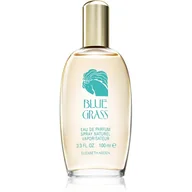 Wody i perfumy damskie - Elizabeth Arden Blue Grass woda perfumowana 100ml - miniaturka - grafika 1