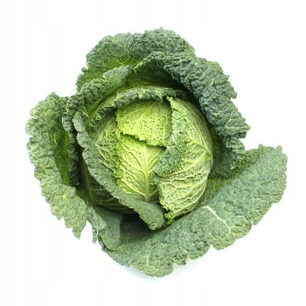 Kapusta włoska świeża z polskich upraw 1 sztuka