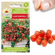 Nasiona i cebule - Pomidor koktajlowy GARTENPERLE Solanum lycopersicum L. - miniaturka - grafika 1