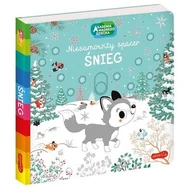 Książki edukacyjne - Śnieg. Akademia mądrego dziecka. Niesamowity spacer - miniaturka - grafika 1