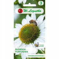 Nasiona i cebule - Nasiona Rudbekia purpurowa. Jeżówka biała 0.50g - W.Legutko - miniaturka - grafika 1