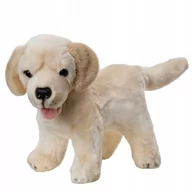 Maskotki i pluszaki - Maskotka Labrador Szczeniaczek Stojący 25 Cm 14082 Beppe - miniaturka - grafika 1