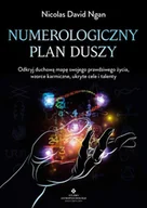 Poradniki hobbystyczne - Numerologiczny plan duszy. Odkryj duchową mapę swojego prawdziwego życia, wzorce karmiczne, ukryte cele i talenty - Nicolas David Ngan - miniaturka - grafika 1