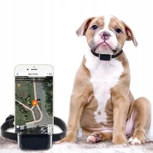 Lokalizator GPS dla PSA KOTA OBROŻA MK12P - Lokalizatory GPS - miniaturka - grafika 1