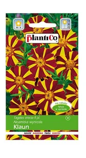 Aksamitka wyniosła Klaun 1 g Plantico - Nasiona i cebule - miniaturka - grafika 1