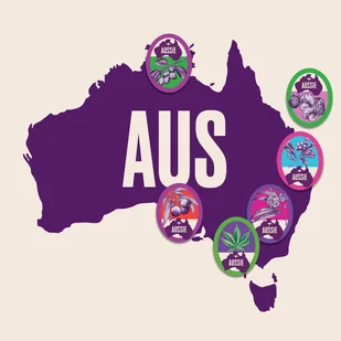 Aussie Szampon w opakowaniu uzupełniającym Refill 480ml - Szampony do włosów - miniaturka - grafika 8