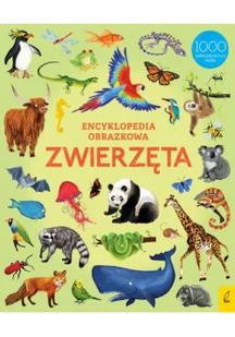 Wilga Encyklopedia obrazkowa Zwierzęta - Encyklopedie i leksykony - miniaturka - grafika 2