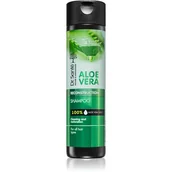 Kosmetyki do stylizacji włosów - Sante Dr Aloe Vera 250 ml Szampon do włosów oczyszczająco regenerujący Dr - miniaturka - grafika 1