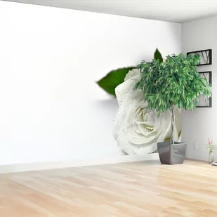 Fototapeta Biała róża - Fototapety - miniaturka - grafika 1