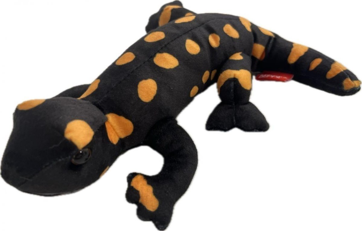 Salamandra plamista 20cm