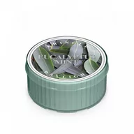 Świece - Kringle Candle Świeczka zapachowa Eucalyptus Mint Daylight Candle 35 g - miniaturka - grafika 1