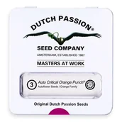 Nasiona i cebule - Nasiona konopi CBD Dutch Passion - CBD Auto Critical Orange Punch 3szt. - miniaturka - grafika 1