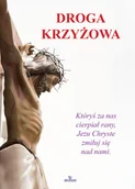Religia i religioznawstwo - Droga Krzyżowa - Anna Paterek - książka - miniaturka - grafika 1