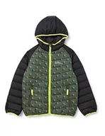 Kurtki i płaszcze dla chłopców - Jack Wolfskin Chłopięca kurtka z nadrukiem, Thyme Green All Over, 104 - miniaturka - grafika 1