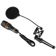Mikrofony komputerowe - Mikrofon BLOW MS02 - miniaturka - grafika 1