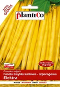 Nasiona i cebule - NASIONA Fasola Szparagowa Karłowa Elektra 48g PLANTICO Żółta 407671 - miniaturka - grafika 1