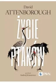 Życie ptaków - Książki medyczne - miniaturka - grafika 1