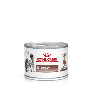 Royal Canin Veterinary Feline Recovery Mousse - 12 x 195 g - Mokra karma dla psów Royal Canin Veterinary Feline Recovery Mousse - 12 x 195 g - Mokra karma dla psów - miniaturka - grafika 1