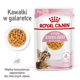 Royal Canin Kitten Sterilised galaretka) 12x85g 249950 - Mokra karma dla kotów - miniaturka - grafika 1