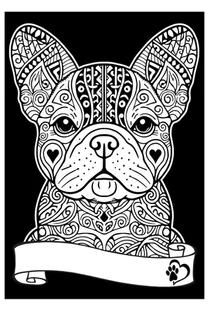 Kolorowanka Welw. A4 Buldog Francuski - Kolorowanki, wyklejanki - miniaturka - grafika 1