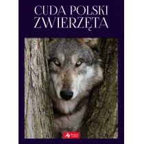 Cuda Polski Zwierzęta Łukasz Przybyłowicz - Albumy - przyroda - miniaturka - grafika 2
