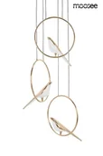 Lampy sufitowe - MOOSEE lampa wisząca BIRD DISC złota - miniaturka - grafika 1