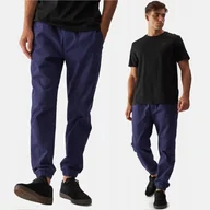 Spodnie męskie - SPODNIE MĘSKIE 4F CASUAL JOGGERY S TTROM0944 AW24 - miniaturka - grafika 1