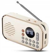 Głośniki przenośne - GŁOŚNIK PRZENOŚNY BEZPRZEWODOWY BLUETOOTH RADIO FM USB AUX MP3 NA PREZENT - miniaturka - grafika 1