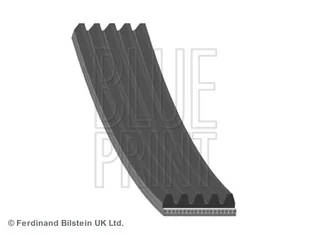 Pasek klinowy wielorowkowy Blue Print AD05S898 - Paski klinowe i wielorowkowe - miniaturka - grafika 1