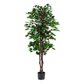Sztuczne kwiaty - Sztuczna roślina EVERGREEN, Ficus Benjamin, W 1600 mm, 1 szt. - miniaturka - grafika 1