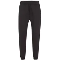 Spodnie sportowe męskie - Spodnie sportowe męskie Fila Bagod Pants - miniaturka - grafika 1