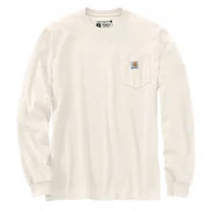 Koszulki męskie - Koszulka Carhartt Moutain Graphic LS - miniaturka - grafika 1