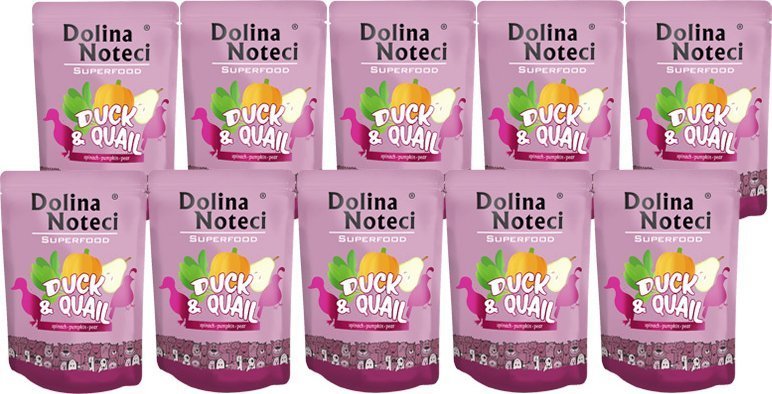 Dolina Noteci Superfood z kaczką 10x300g