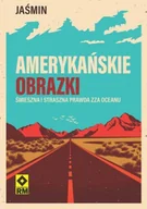 Literatura obyczajowa - Amerykańskie obrazki. Śmieszna i straszna prawda zza oceanu - miniaturka - grafika 1
