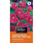 Nasiona i cebule - Nasturcja większa Whirly Bird Cherry Rose 3 g Eden - miniaturka - grafika 1