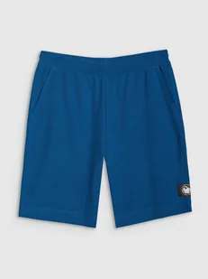 SPODENKI MĘSKIE TSHOM536 4F XL - Spodenki męskie - miniaturka - grafika 1