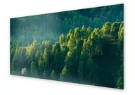 Dekoracje domu - Panel kuchenny HOMEPRINT Zielony las 140x70 cm - miniaturka - grafika 1