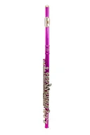 Instrumenty dęte - Elkhart Flet 100FL, różowy - miniaturka - grafika 1