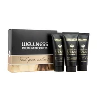 Zestawy kosmetyków damskich - Wellness Wellness Pielęgnacja włosów Mini zestaw WELLPLEX szampon 50ml odżywka 50ml maska 50ml - miniaturka - grafika 1