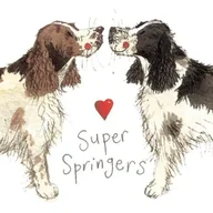 Magnesy - Magnes FM02 Springer spaniel - Alex Clark - miniaturka - grafika 1